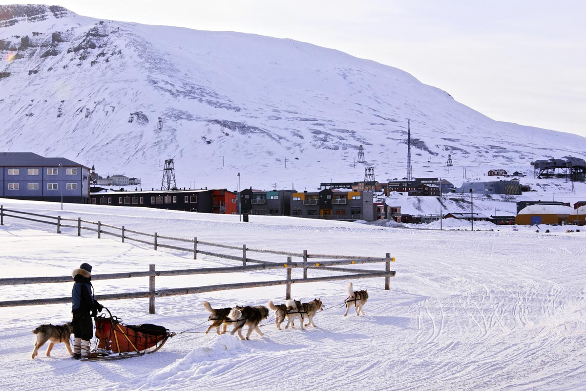 Escursione in slitta trainata da cani alle Svalbard