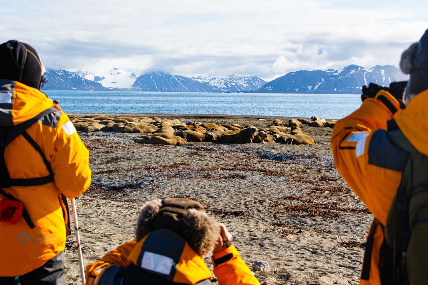 cosa mettere in valigia per le svalbard