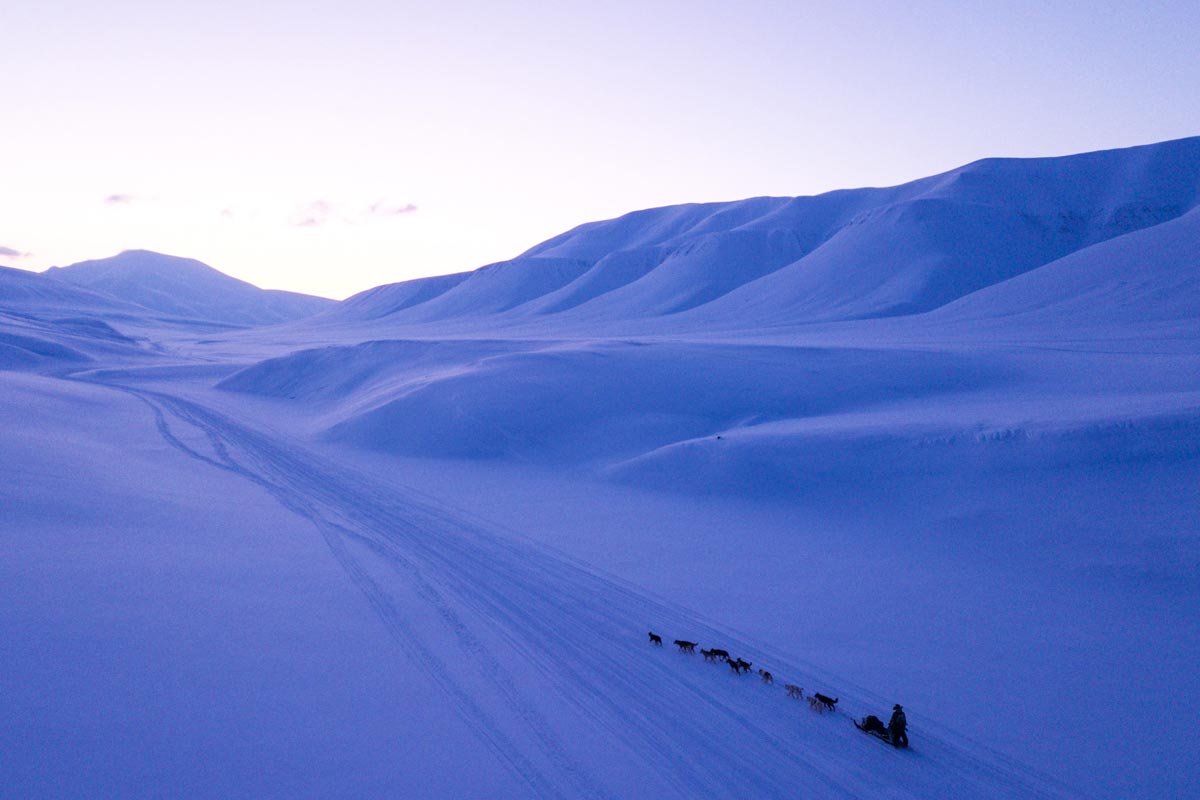 Escursione in slitta trainata da cani alle Svalbard