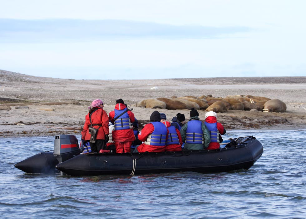 svalbard in barca a vela