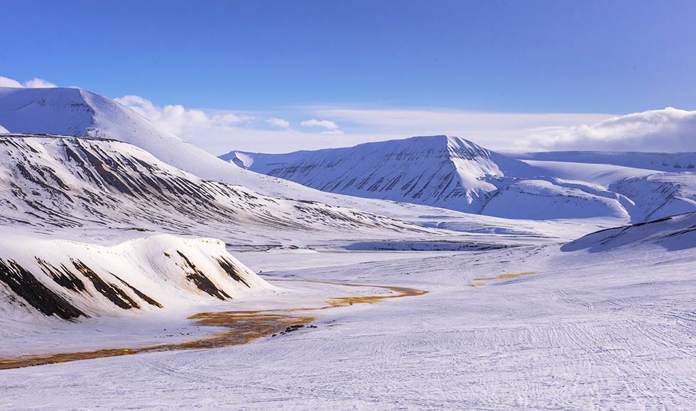 stagione migliore per visitare svalbard